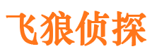 大通市婚外情取证